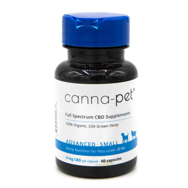 best cbd oil for cats