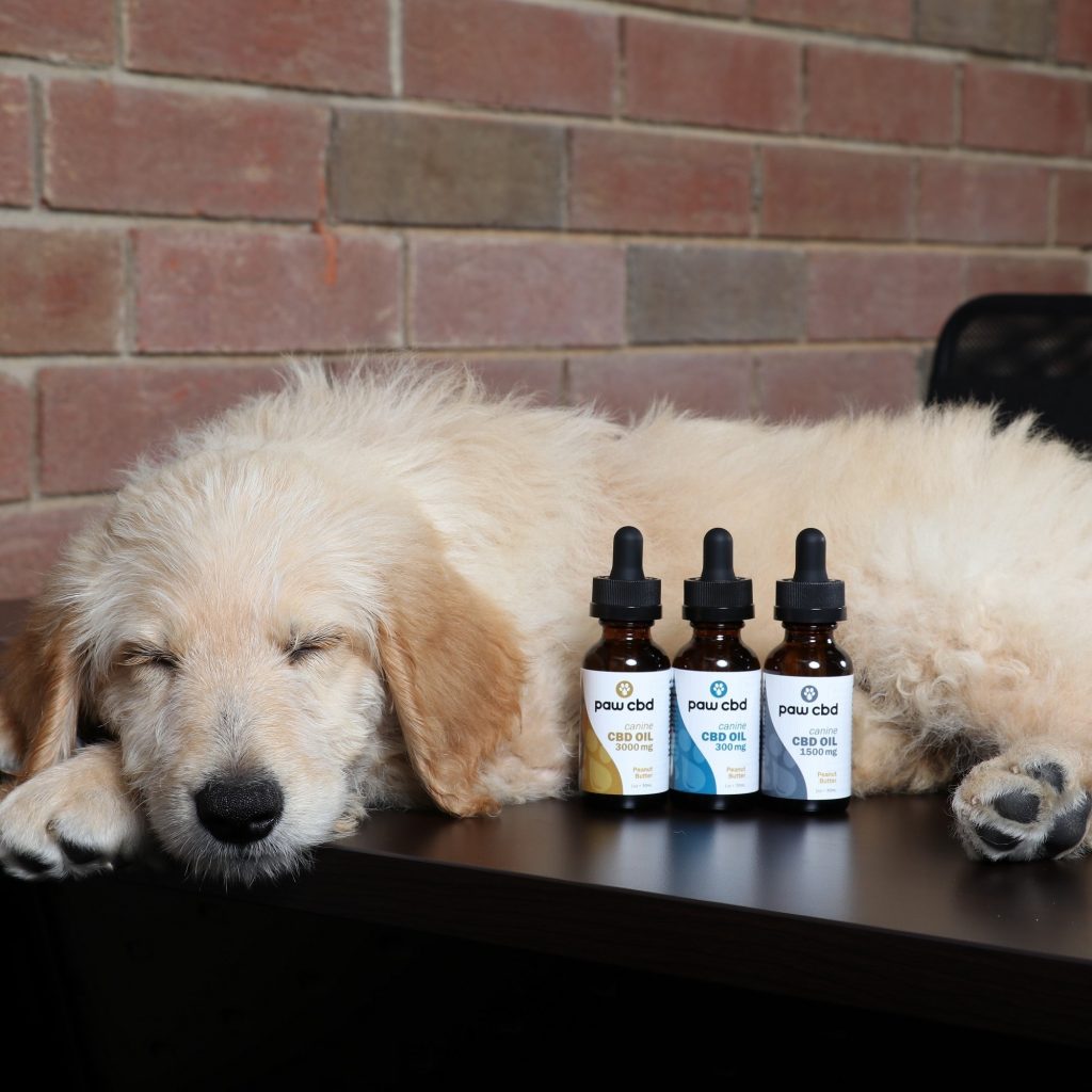 best cbd oil for cats